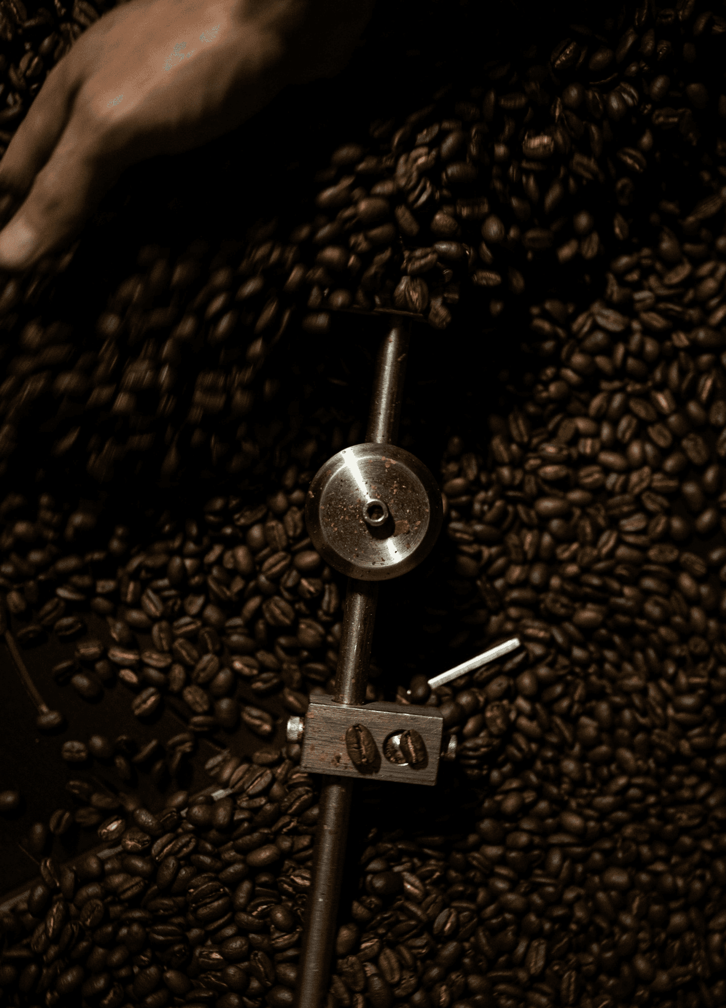 Café de especialidad colombiano