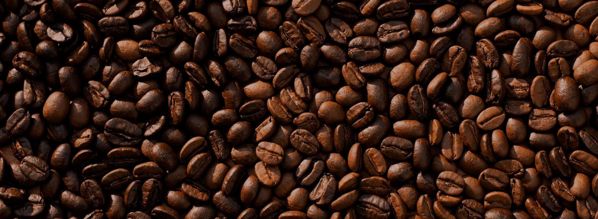 Tint&Co Café de Especialidad